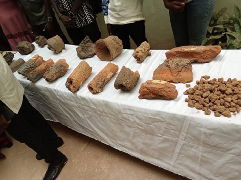 Archéologie au Burkina Faso : Hommage aux pionniers