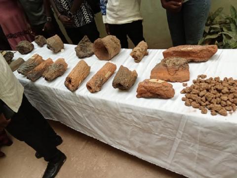 Archéologie au Burkina Faso : Hommage aux pionniers