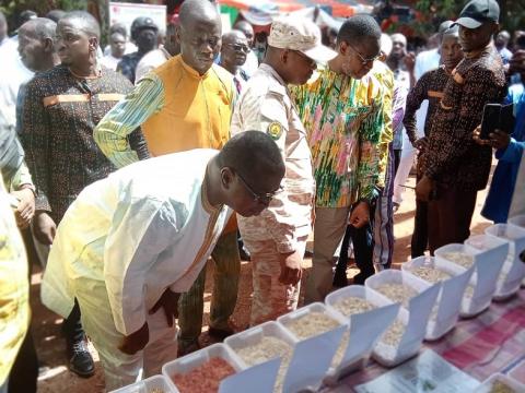 16e Foire aux semences améliorées : L’INERA valorise les fruits de la recherche agricole