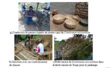 Usages et vulnérabilité de la flore ligneuse dans le 20ème site Ramsar du Burkina Faso