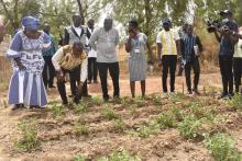 Visite du CREAF : Pr Adjima Thiombiano dans les champs et laboratoires 