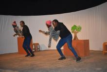 « Bissongo Tissongo » : Une histoire d'amour pour les plantes...